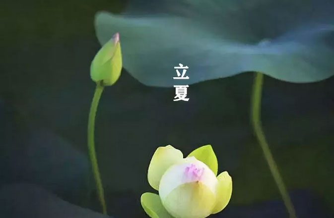 大白管業：立夏你好，夏天你好！