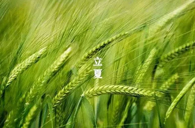 大白管業：立夏你好，夏天你好！