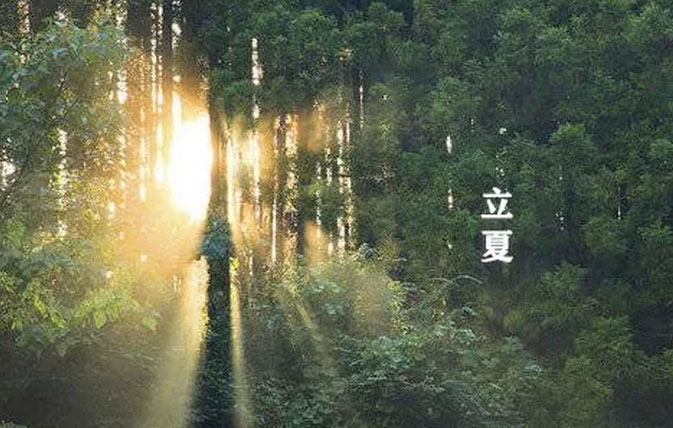 大白管業：立夏你好，夏天你好！