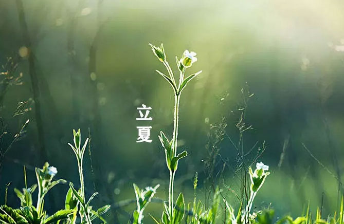 大白管業：立夏你好，夏天你好！